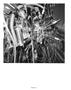 Page: - 76 | Aperture