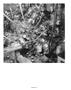 Page: - 78 | Aperture