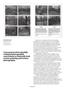 Page: - 36 | Aperture