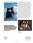 Page: - 45 | Aperture