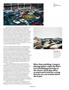 Page: - 58 | Aperture