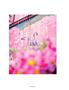 Page: - 82 | Aperture