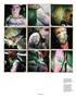 Page: - 121 | Aperture