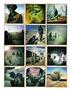 Page: - 127 | Aperture