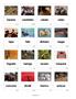 Page: - 102 | Aperture
