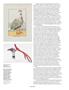 Page: - 36 | Aperture
