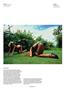 Page: - 104 | Aperture