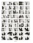 Page: - 86 | Aperture