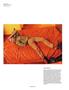 Page: - 96 | Aperture