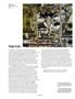 Page: - 43 | Aperture