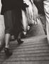 Page: - 99 | Aperture