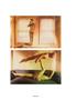Page: - 72 | Aperture