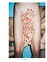 Page: - 85 | Aperture