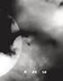 Page: - 133 | Aperture