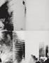 Page: - 66 | Aperture