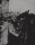 Page: - 70 | Aperture