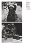 Page: - 92 | Aperture