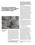 Page: - 114 | Aperture