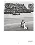 Page: - 119 | Aperture