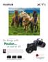 Page: - 17 | Aperture