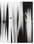 Page: - 35 | Aperture