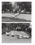 Page: - 124 | Aperture