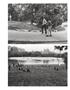 Page: - 125 | Aperture