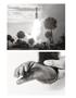 Page: - 100 | Aperture
