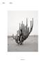 Page: - 102 | Aperture