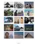 Page: - 109 | Aperture