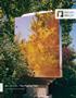Page: - 14 | Aperture