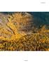 Page: - 77 | Aperture
