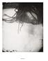 Page: - 90 | Aperture