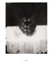 Page: - 91 | Aperture