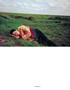 Page: - 107 | Aperture