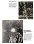 Page: - 121 | Aperture