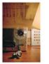 Page: - 38 | Aperture