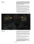 Page: - 82 | Aperture