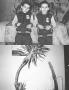 Page: - 114 | Aperture
