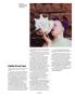 Page: - 25 | Aperture
