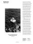 Page: - 17 | Aperture