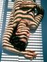 Page: - 84 | Aperture