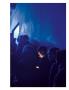 Page: - 129 | Aperture