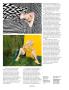 Page: - 16 | Aperture