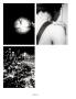 Page: - 68 | Aperture