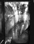 Page: - 127 | Aperture