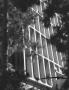 Page: - 131 | Aperture