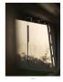 Page: - 135 | Aperture