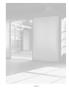 Page: - 137 | Aperture