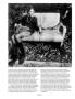 Page: - 75 | Aperture